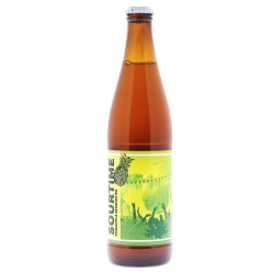 MARYENSZTADT SOURTIME PINEAPPLE SESSION 50CL - Planete Drinks