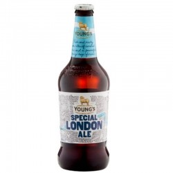 biere - WELLS SPECIAL LONDON ALE 50CL - Planète Drinks