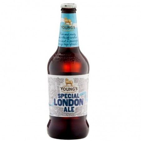 WELLS SPECIAL LONDON ALE 50CL