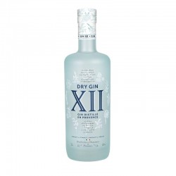 GIN - GIN DRY XII 70CL - Planète Drinks