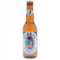 biere - HINANO TAHITI 33CL - Planète Drinks