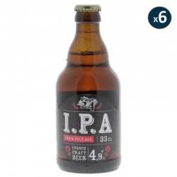 PAGE 24 IPA 6*33CL