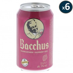 BACCHUS FRAMBOISE 6*33CL CAN