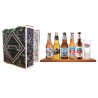 DISCOVERY BEER BOOK US X5 BIERES + 1 VERRE 29.9 - 