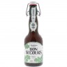 BON SECOURS 4 HOUBLONS BELGIAN IPA 33CL 4.5 - Une Belgian IPA légère aux saveurs fleuris et épicées !