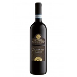 BOTTEGA - VALPOLICELLA CLASSICO DOC 75CL 12.95 - BOTTEGA - VALPOLICELLA CLASSICO DOC 75CL