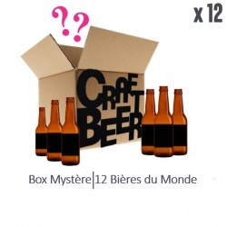 BOX MYSTERE 100% BIERES DU MONDE X12 BIERES 39.9 - BOX MYSTERE 100% BIERES DU MONDE X12 BIERES