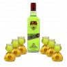 BOX DECOUVERTE AGWA VERTE 70CL + 6 VERRES 6CL