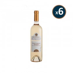 BOTTEGA - PINOT GRIGIO...