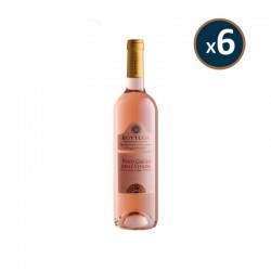 BOTTEGA - PINOT GRIGIO ROSE...